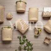 Blossomed Container Medium